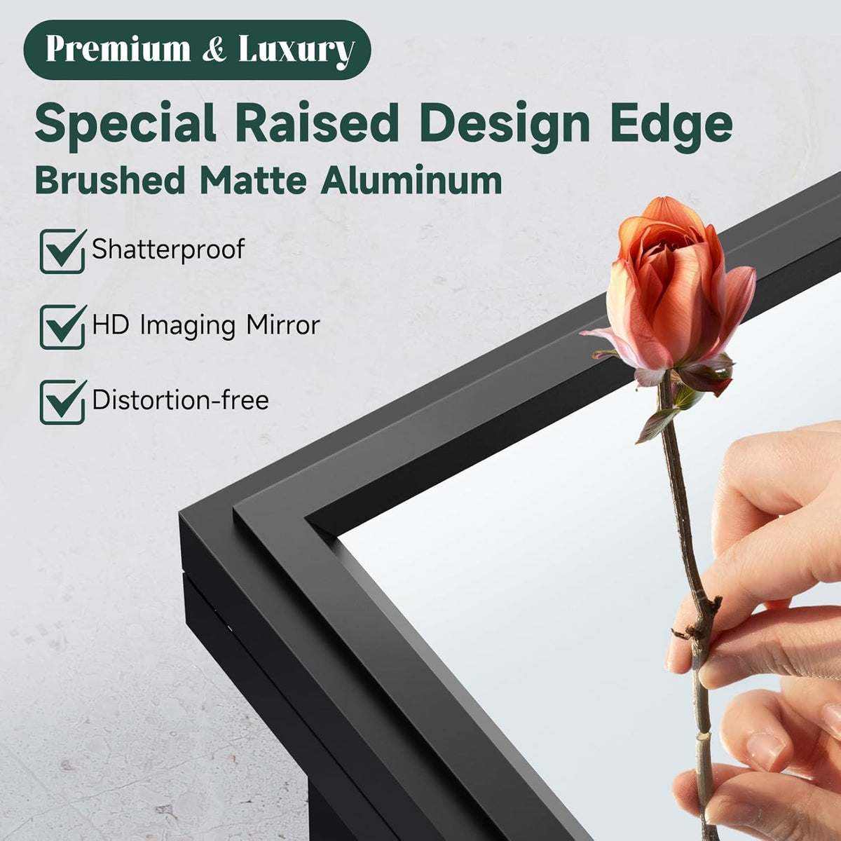Mirrored Bathroom Medicine Cabinet for Wall or Recessed Mounting