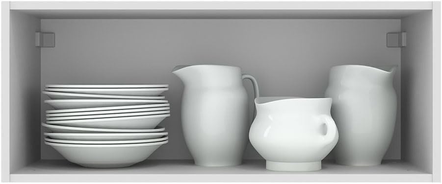 31-Inch Wall-Mounted Kitchen Cabinet with Horizontal Door