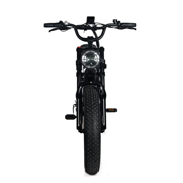 Electric Mountain Bike for Adults | 20 X 4.0 Fat Tires, 1000W Motor, 48V 20AH Removable Battery, Max Speed 45MPH, Shi Mano 7-SPEED for…