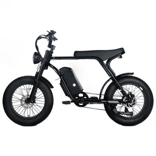 Electric Mountain Bike for Adults | 20 X 4.0 Fat Tires, 1000W Motor, 48V 20AH Removable Battery, Max Speed 45MPH, Shi Mano 7-SPEED for…