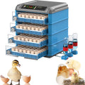 Automatic Egg Incubator with Temperature and Humidity Control